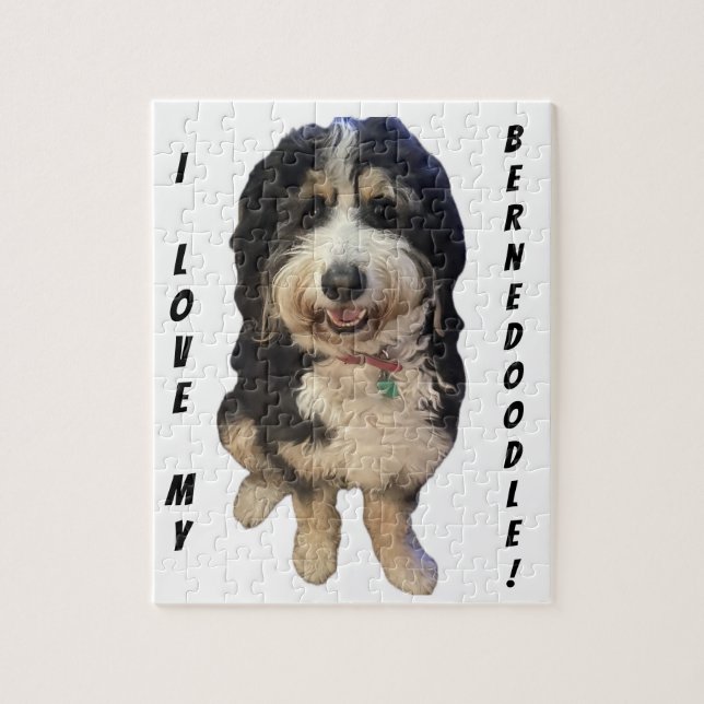 Schönes Bild von Birdie der Bernedoodle Hund (Vertikal)