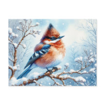 Schönes Bird White Painting