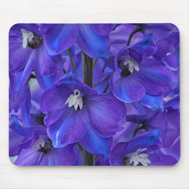 Schönes blaues Delphinium Mousepad (Vorne)