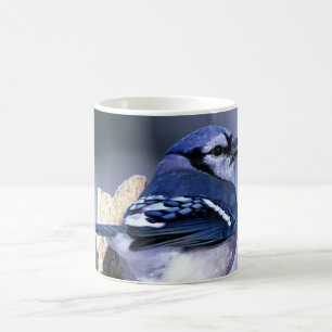 Schönes blaues Jay Kaffeetasse