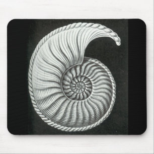 Schönes Bleistiftzeichnen von Amaltheus Ammoniten Mousepad