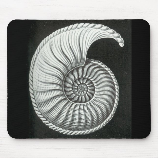 Schönes Bleistiftzeichnen von Amaltheus Ammoniten Mousepad (Vorne)
