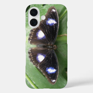 Schönes Blue Gepunktet Butterfly iPad Case
