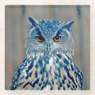 Schönes Blue Uhu Raptor Owl Glasuntersetzer