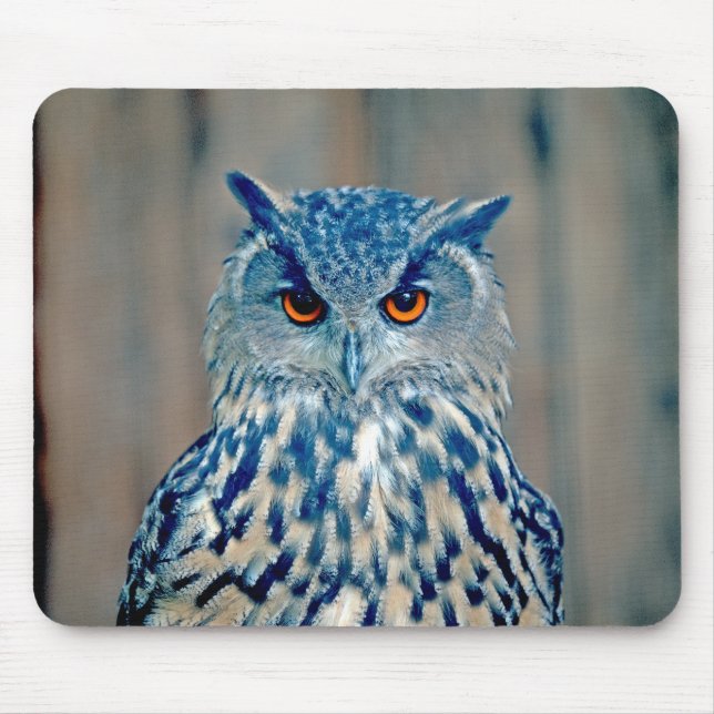 Schönes Blue Uhu Raptor Owl Mousepad (Vorne)