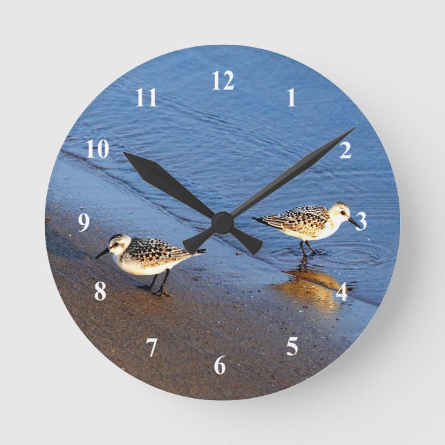 Schönes Blue Water Sandpiper Foto Runde Wanduhr (Vorderseite)