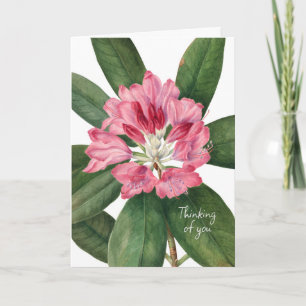 SCHÖNES BLUME BEILEID KARTE