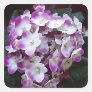 Schönes Blume Sticker Set