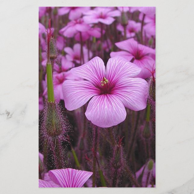 Schönes Blumen Briefpapier (Vorderseite)