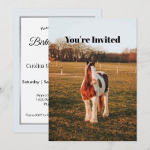 Schönes braunes Paint Draft Pferd Foto Geburtstag