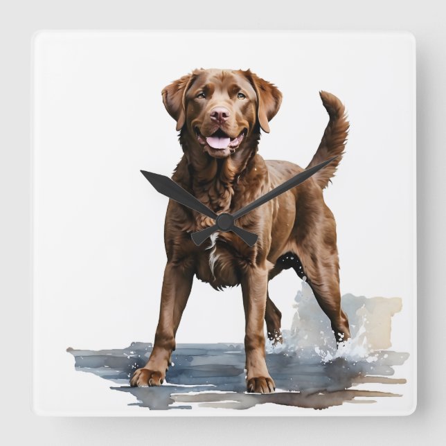 SCHÖNES BROWN CHESAPEAKE BAY RETRIEVDOG QUADRATISCHE WANDUHR (Vorderseite)