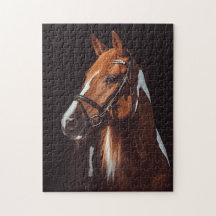 Schönes Brown Paint Horse Portrait Foto