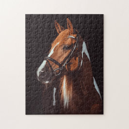 Schönes Brown Paint Horse Portrait Foto