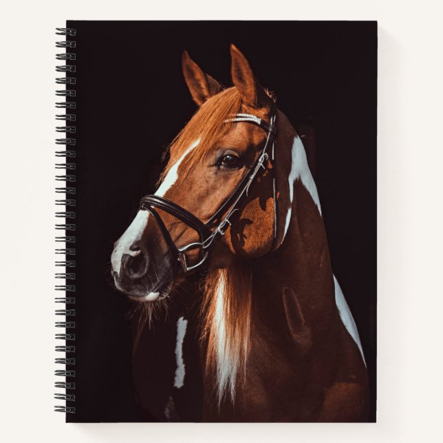 Schönes Brown Paint Horse Portrait Foto Notizbuch (Vorderseite)