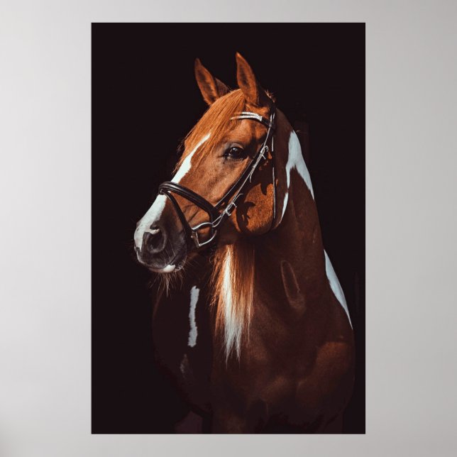 Schönes Brown Paint Horse Portrait Foto Poster (Vorne)