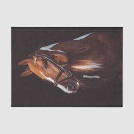 Schönes Brown Paint Horse Portrait Foto Seidenpapier