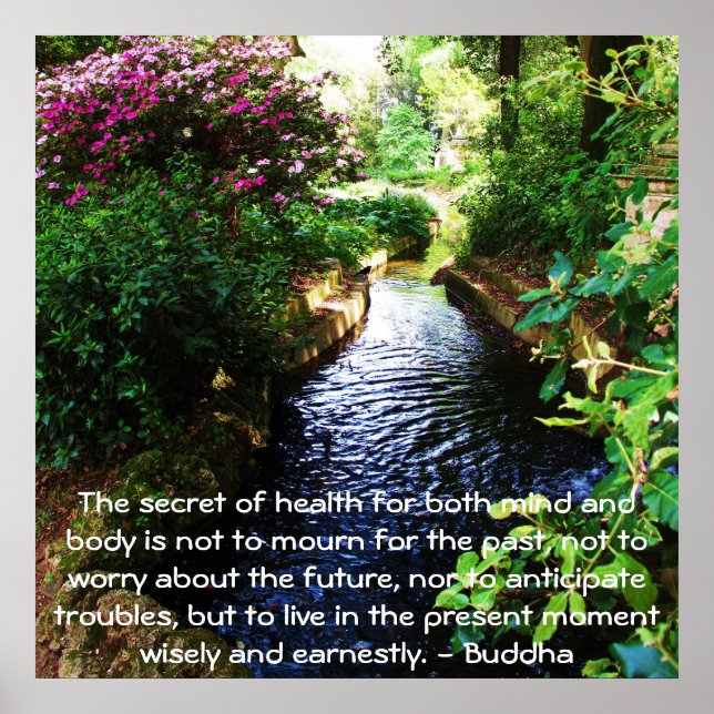 Schönes buddhistisches Zitat über Gesundheit und W Poster (Vorne)