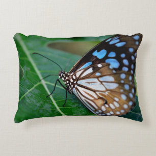 Schönes Butterfly-Kissen Dekokissen