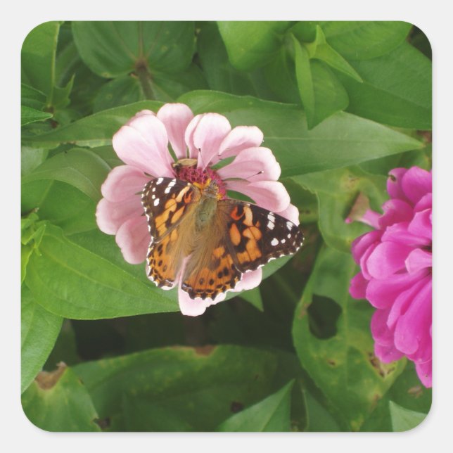Schönes Butterfly-Set Quadratischer Aufkleber (Vorderseite)