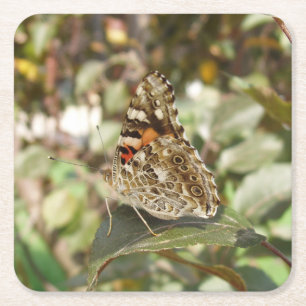 Schönes Butterfly Untersetzer Set