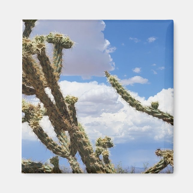 Schönes Cactus Foto Magnet (Vorne)