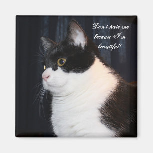 Schönes Cat Magnet