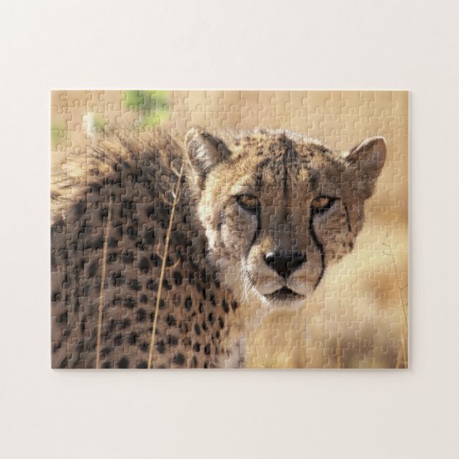 Schönes Cheetah Portrait, Jigsaw Puzzle (Horizontal)