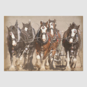 Schönes Clydesdale Pferde Pflügen - Teamarbeit Seidenpapier