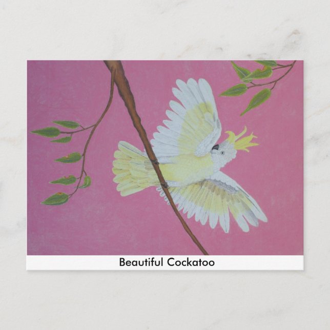 Schönes Cockatoo Postkarte (Vorderseite)
