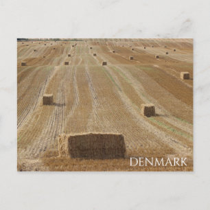 Schönes Dänemark Land Postcard! Postkarte