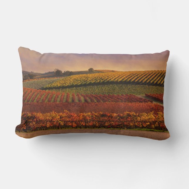 Schönes Dekor mit Weinkissen Lendenkissen (Vorderseite)