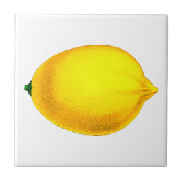 Schönes Design Wasserfarbenlemon Fliese