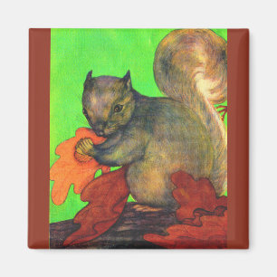 schönes Eichhörnchen Magnet