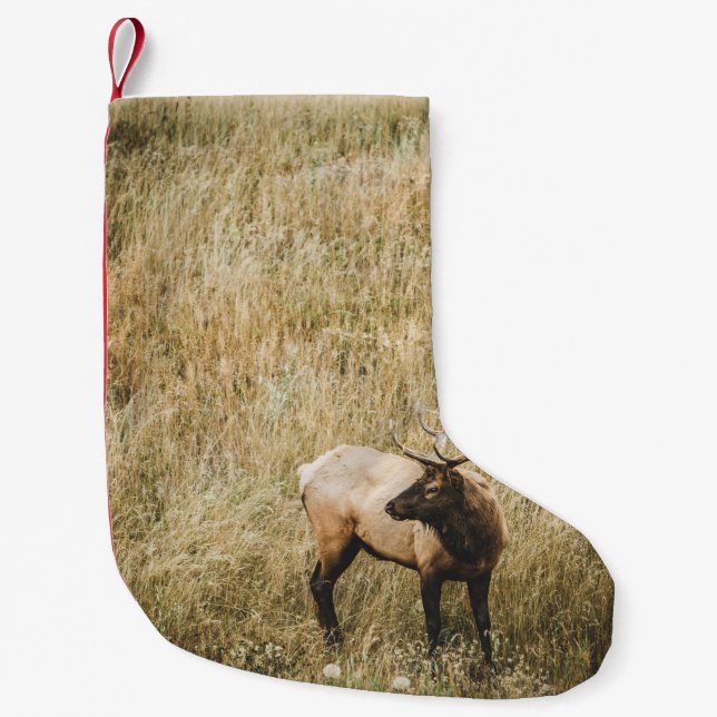 SCHÖNES ELK DEIN KLEINER WEIHNACHTSSTRUMPF (Vorderseite)