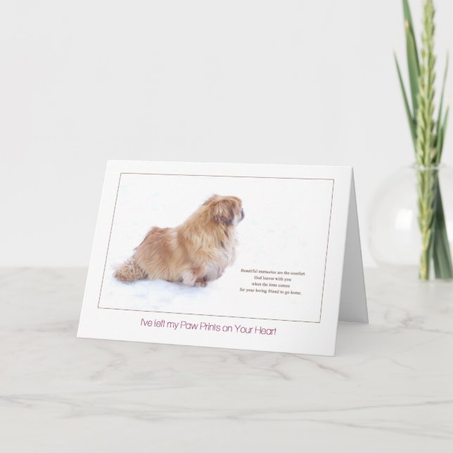 Schönes Erinnerungen Pekingese HundeBeileid Karte (Vorderseite)