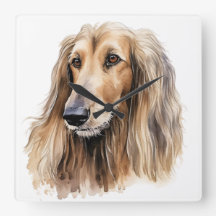 SCHÖNES, FAWANDFARBENES AFGHAN HOUND DOG