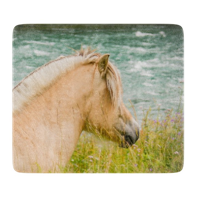 Schönes Fjord-Pferd Schneidebrett (Vorderseite)
