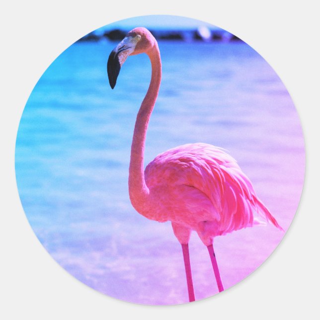 Schönes Flamingo im Wasser am Strand Runder Aufkleber (Vorderseite)