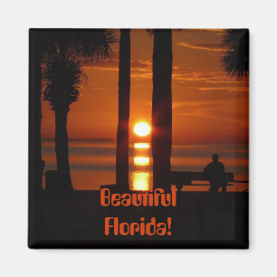 Schönes Florida! Magnet