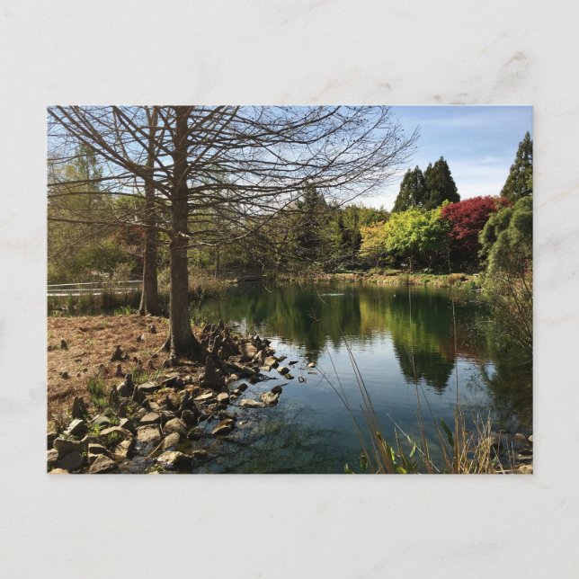 Schönes Foto eines Sees Postkarte (Vorderseite)