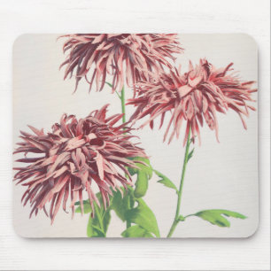 Schönes Fotomechanisches Werk von Ogawa Kazumasa Mousepad