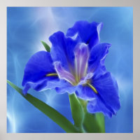 Schönes Fraktal Iris und seine Bedeutung