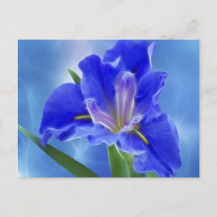 Schönes Fraktal Iris und seine Bedeutung Postkarte