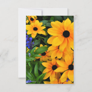Schönes Gelbes Daisy-Foto Karte