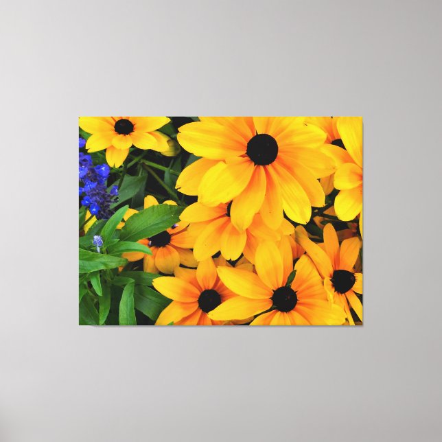 Schönes Gelbes Daisy-Foto Leinwanddruck (Vorderseite)
