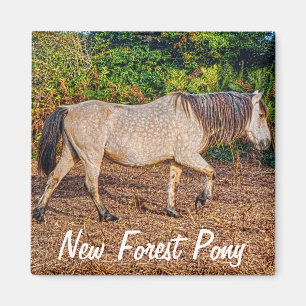 Schönes Geschenk für Pferde-Liebhaber Magnet