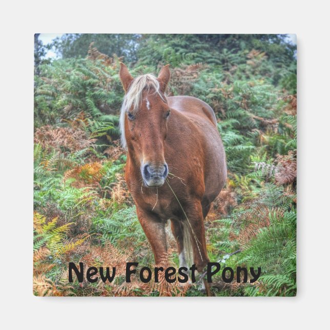 Schönes Geschenk für Pferde-Liebhaber Magnet (Vorne)