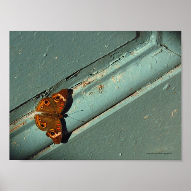 Schönes Golden Butterfly Poster (Vorne)