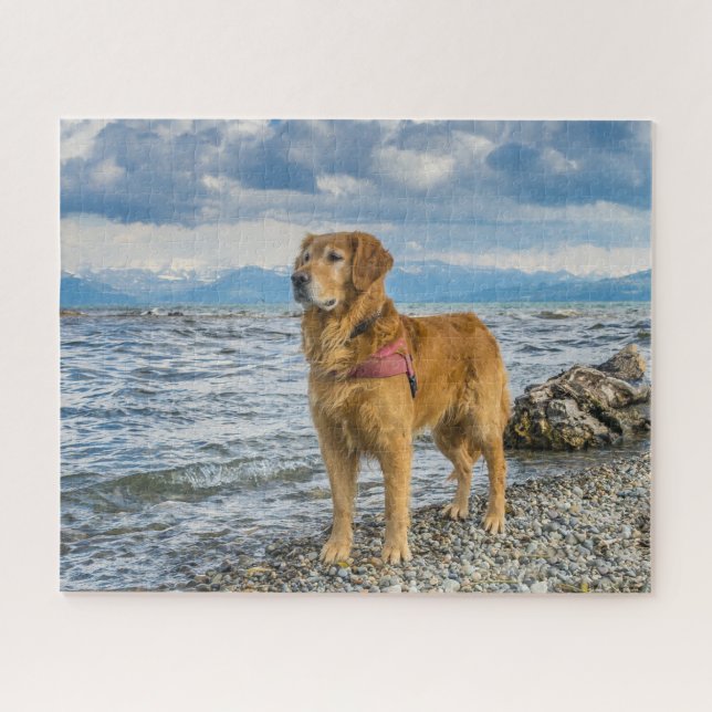 Schönes Golden Retriever Dog Beach Foto (Horizontal)