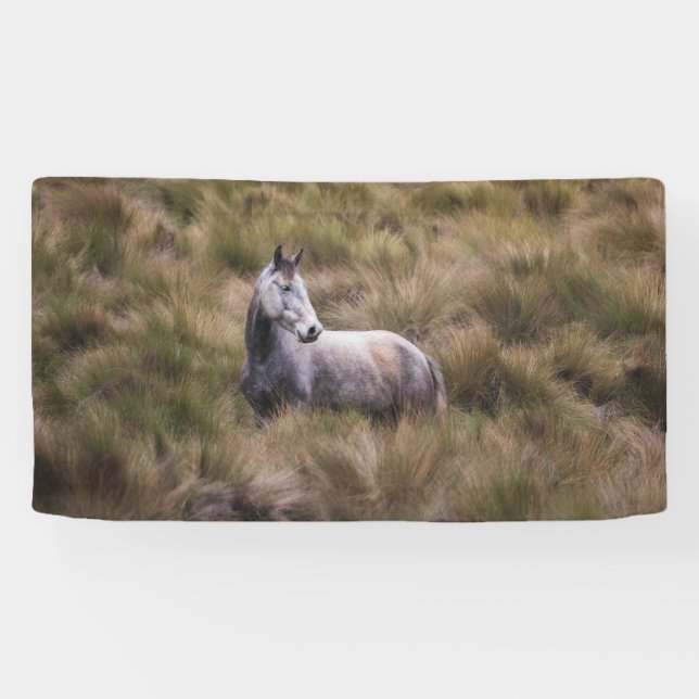 Schönes graues, farbiges Pferd Banner (Horizontal)